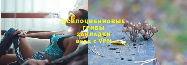 ПСИЛОЦИБИНОВЫЕ ГРИБЫ Алексеевка