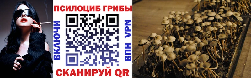 блэк спрут как зайти Кукмор Галлюциногенные грибы Psilocybe даркнет сайт